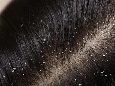 shutterstock_1768543955 (1).jpg