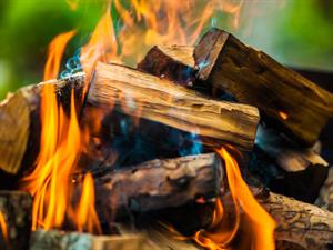 shutterstock416864710 (1).jpg