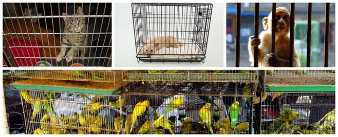 BeFunky-collage (24).jpg