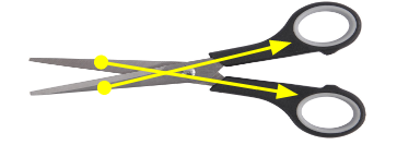 output-onlinepngtools (15).png