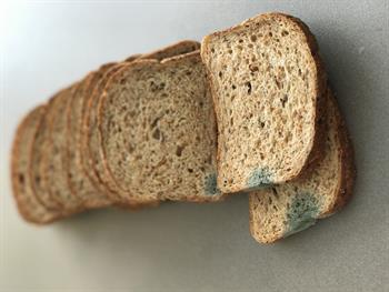 34296658593_2d3ee600fd_o (1).jpg