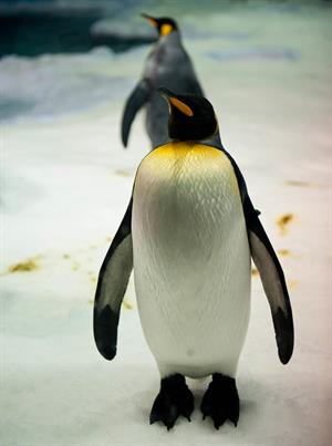 5406836626_65376b8927_k (1).jpg