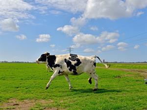 YCIND20220901_4399_Movements in animals_04.jpg