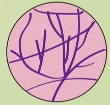 Screenshot 2022-01-22 145933.jpg