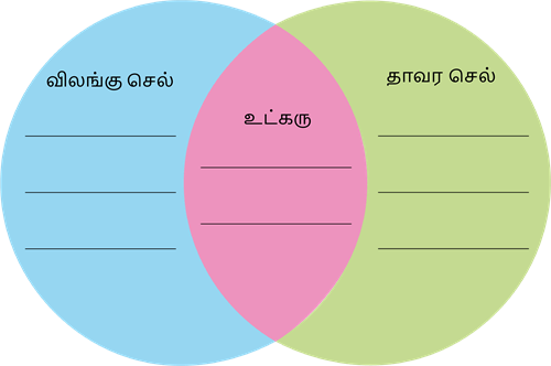 YCIND20220804_4064_Cell Biology_07.png
