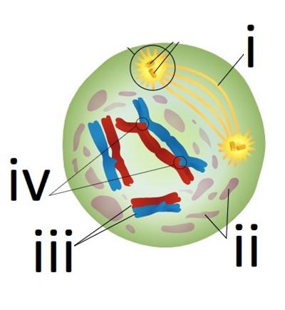 Screenshot 2021-05-24 041814.jpg