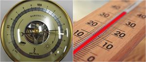 BeFunky-collage (6).jpg