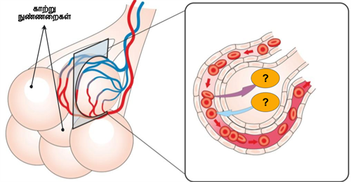 Design - YC IND (31).png