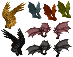 wing-3369923_1920.png