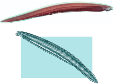 BeFunky-collage (2).png