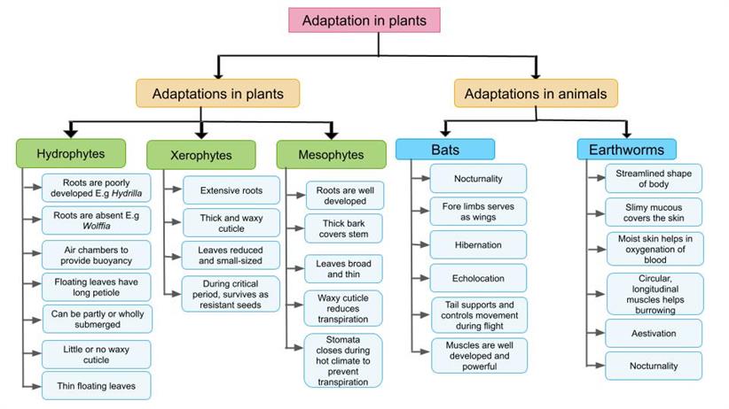Untitled presentation (4).jpg