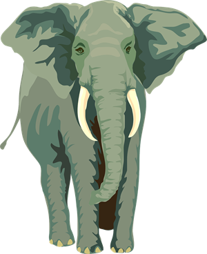 elephant-24722_1280.png