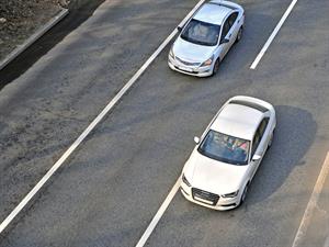 Arsenie Krasnevsky Shutterstock.jpg