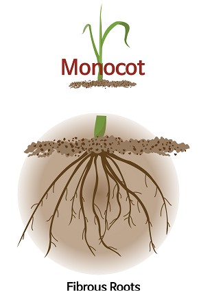 Screenshot 2021-06-04 113509.jpg