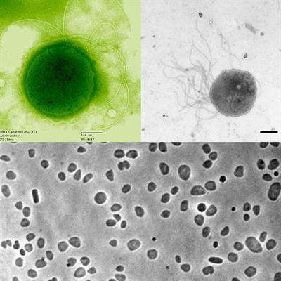 BeFunky-collage (4).jpg