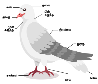 Design - YC IND (5).png