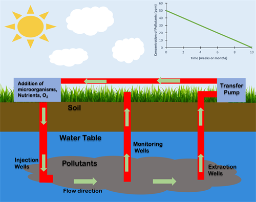 In_Situ_Bioremediation (1).png