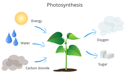 Screenshot 2021-06-11 094153.png