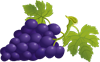 Grape.png