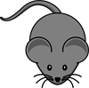 mouse.png