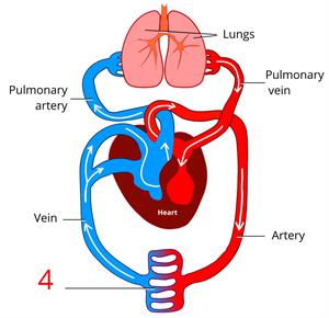 l4.jpg