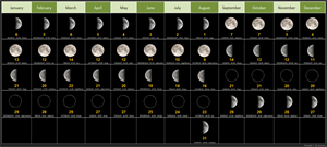 2025LunarCalendarw1278.png