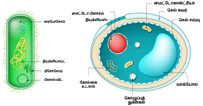 Design - YC IND (2).png