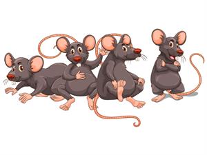 rats in the forest draft.jpg