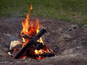 campfires-burning-wood-pits-725x544.jpg