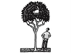 Dad's confidence.jpg