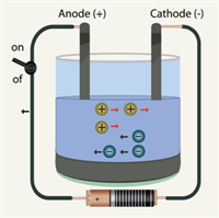 anode and cathode.png