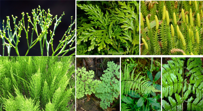 Designing - Editorial (3).png