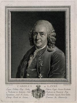 1024px-Carolus_Linnaeus._Line_engraving_by_C._C._B._Bervic,_1779,_a_Wellcome_V0003600.jpg