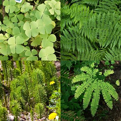 BeFunky-collage (9).jpg