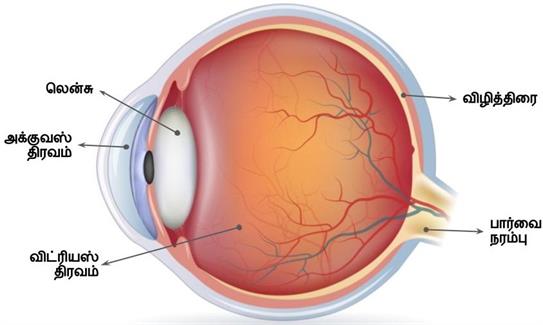 Design - YC IND (2).jpg