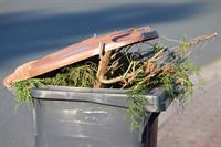 dustbin-5398348_1280.jpg