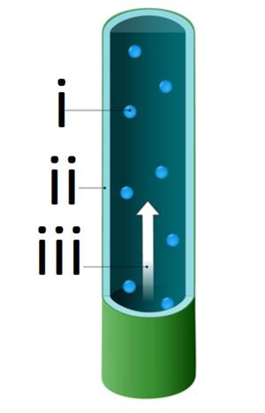 Screenshot 2021-04-23 094407.jpg