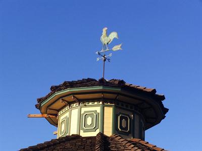 weather vane.jpg