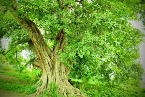 shutterstock_1487365421 (1).jpg