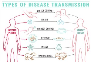 disease-transmission-types-vector-32352881.jpg