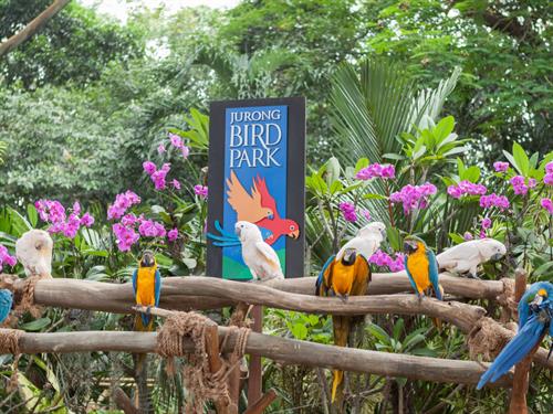 Karan Bunjean Shutterstock.jpg