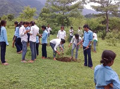 Afforestation_in_Nepal.jpg