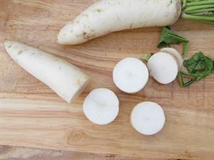 white-radish-2934281_1920.jpg