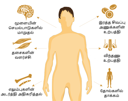 YCIND20220821_4315_Reaching the age of adolescence_05.png