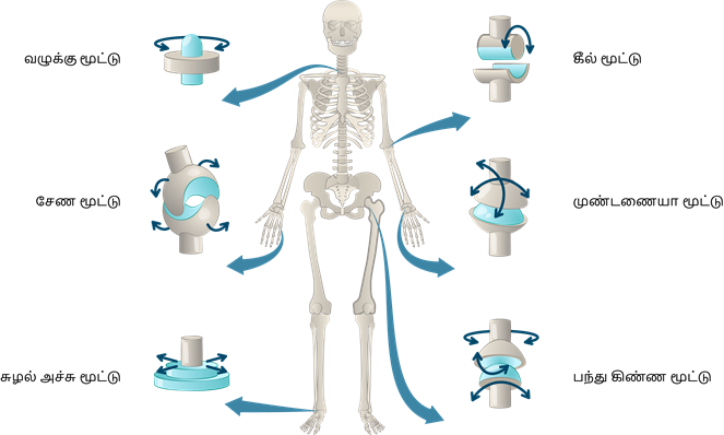 YCIND20220901_4386_Movements in animals_01.png