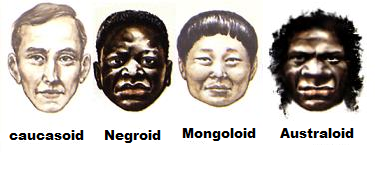 human races 4.png