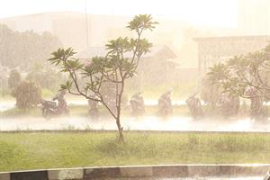 downpour18564181920.jpg