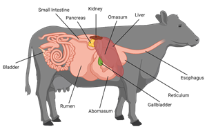 Figure 9png.png
