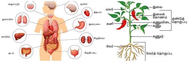 BeFunky-collage - 2022-10-01T122728.809.jpg