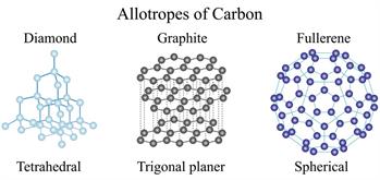 shutterstock1717122967 (2).jpg